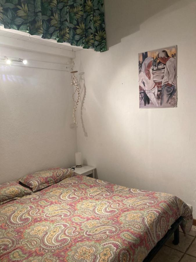 La Coccinelle Bed & Breakfast Nimes Ngoại thất bức ảnh